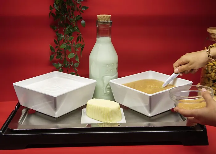 ホテル ホテルf1 ポルト ドゥ シャティヨン *